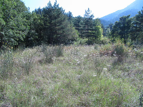 HAUTE VALLEE - SECTEUR AXAT